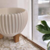 6891045755_tsvetochnyj-gorshok-na.jpg Квітковий горщик на ніжках Ribbed Bowl — фактурне кашпо для рослин, сукулентів, орхідей, фікусів і сучасного інтер’єру