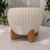 6891045756_tsvetochnyj-gorshok-na.jpg Квітковий горщик на ніжках Ribbed Bowl — фактурне кашпо для рослин, сукулентів, орхідей, фікусів і сучасного інтер’єру