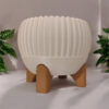 6891045757_tsvetochnyj-gorshok-na.jpg Квітковий горщик на ніжках Ribbed Bowl — фактурне кашпо для рослин, сукулентів, орхідей, фікусів і сучасного інтер’єру