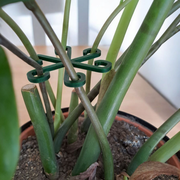 Фіксатор для рослин Plant Clip Star — тримач для стебел, пагонів, монстери, орхідей, фікуса та кімнатних рослин