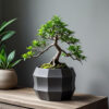 6916271068_kashpo-octapot-.jpg Кашпо OctaPot Edge Planter — багатогранний горщик для сукулентів, бонсай, кактусів, фікусів та modern-інтер’єру