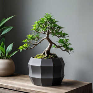 6916271068_kashpo-octapot-.jpg Кашпо OctaPot Edge Planter — багатогранний горщик для сукулентів, бонсай, кактусів, фікусів та modern-інтер’єру