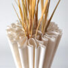 7015038287_dekorativnaya-vaza-s.jpg Дизайнерська ваза Coral Art Vase з екологічного пластику — декоративна коралова форма для сухоцвітів, інтер’єру, кафе, студії та фотозони
