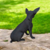Статуетка чихуахуа Mini Chihuahua Decor — декоративна фігурка собаки з екологічного пластику для дому, офісу та подарунка