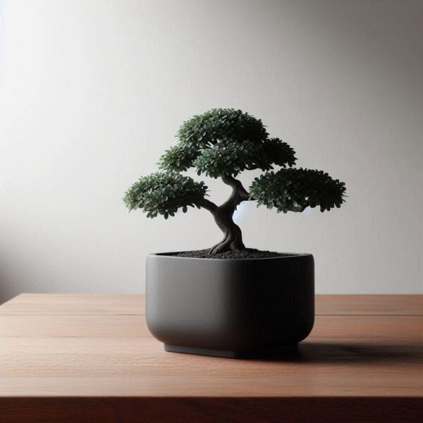 Soft Harmony Planter — кашпо для бонсай, кімнатних рослин і декоративних дерев