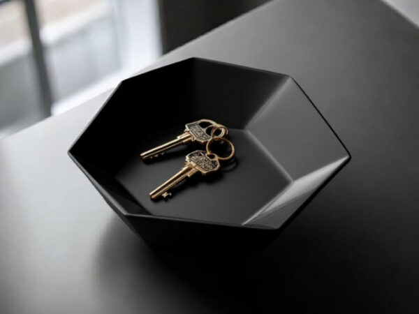 7124631652_dekorativnaya-shestiugolnaya-tarelka.jpg Hexa Catch Tray — шестикутна тарілка-органайзер для ключів, прикрас та дрібниць