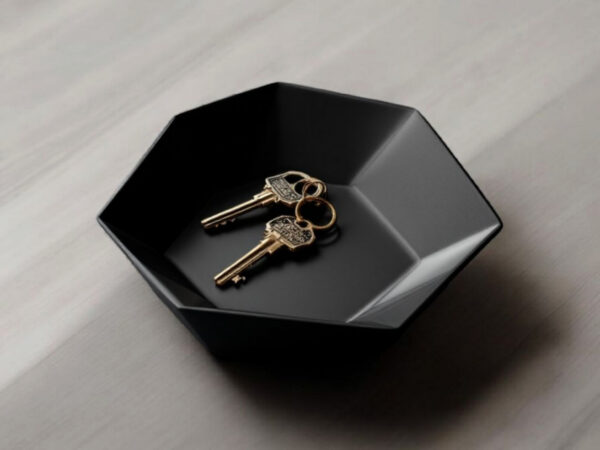 7124631653_dekorativnaya-shestiugolnaya-tarelka.jpg Hexa Catch Tray — шестикутна тарілка-органайзер для ключів, прикрас та дрібниць