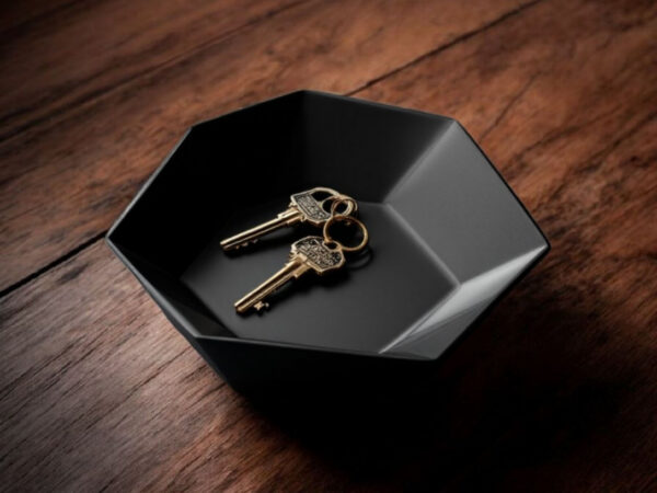 7124631654_dekorativnaya-shestiugolnaya-tarelka.jpg Hexa Catch Tray — шестикутна тарілка-органайзер для ключів, прикрас та дрібниць