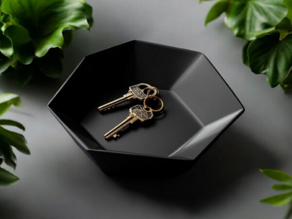 7124631655_dekorativnaya-shestiugolnaya-tarelka.jpg Hexa Catch Tray — шестикутна тарілка-органайзер для ключів, прикрас та дрібниць